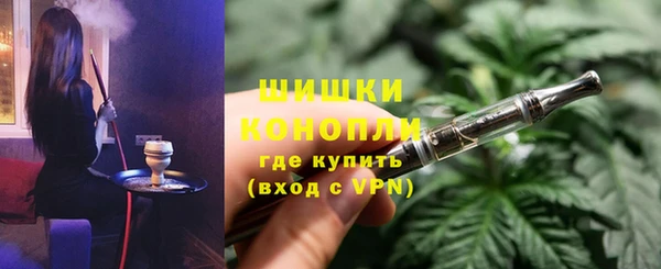 ГАЛЛЮЦИНОГЕННЫЕ ГРИБЫ Магас