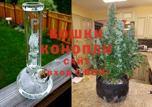 ГАЛЛЮЦИНОГЕННЫЕ ГРИБЫ Магас