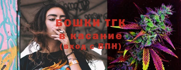 ГАЛЛЮЦИНОГЕННЫЕ ГРИБЫ Магас
