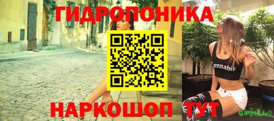 сатива Абакан