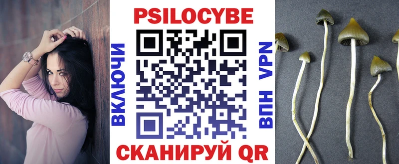 где продают наркотики  Подольск  Псилоцибиновые грибы ЛСД 