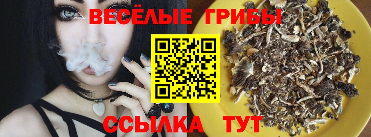 Подольск  Псилоцибиновые грибы Cubensis  Вход с VPN  Галлюциногенные грибы мухоморы 